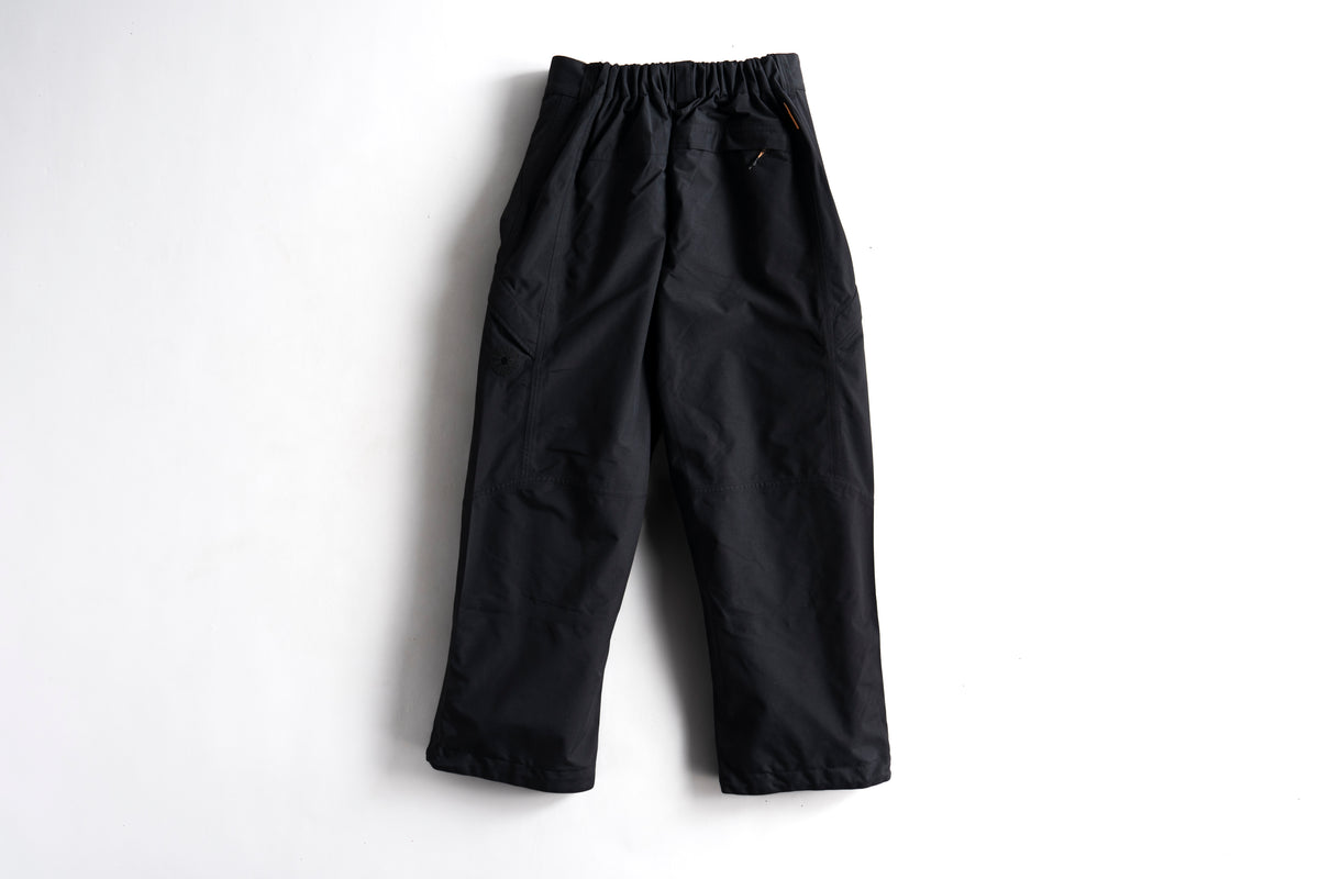 Shadow 3L Pant - Black